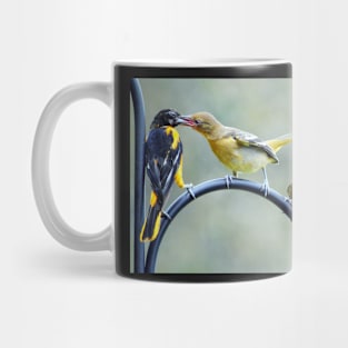 Hungry fledglings Mug